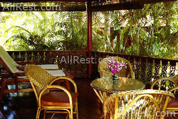 Coconut Tropicana 9